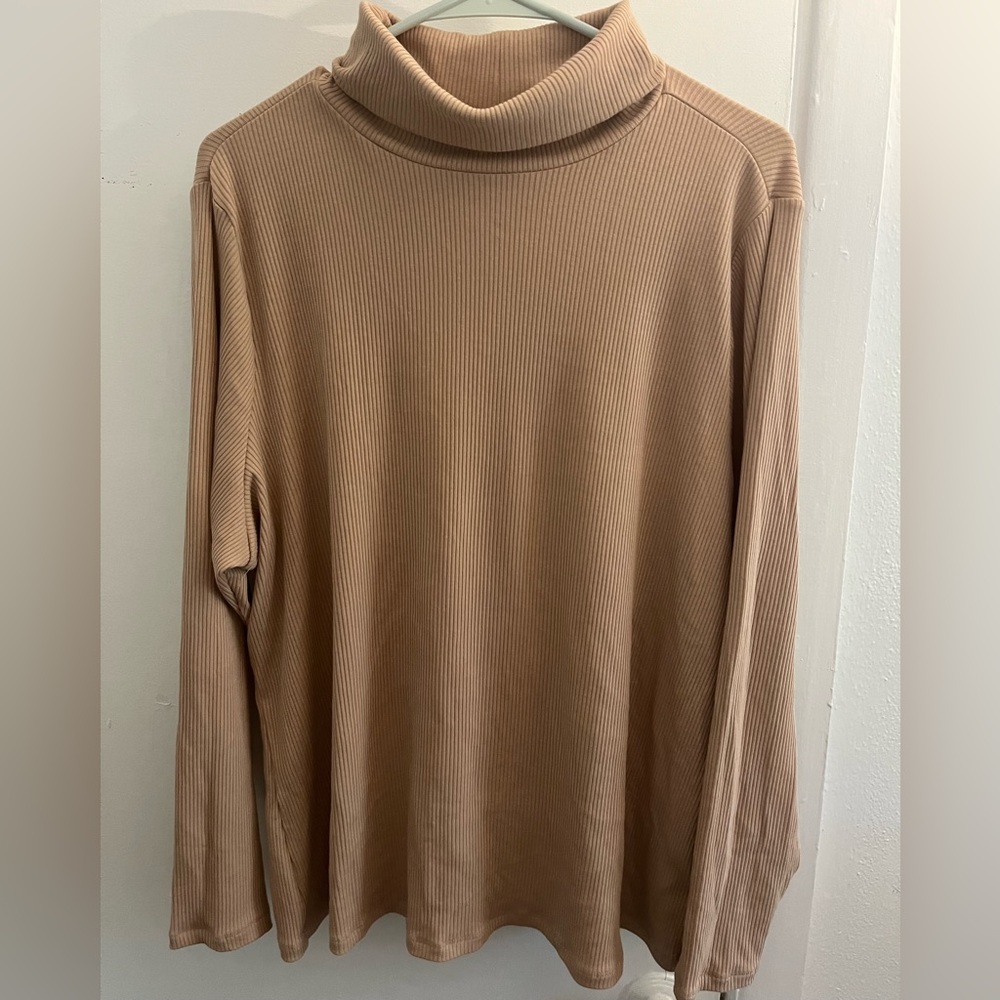 Tan/beige Turtleneck